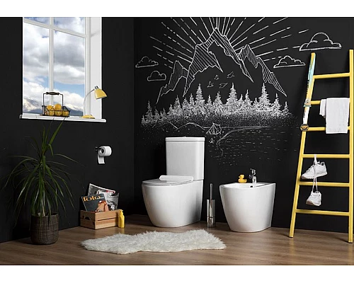 Купить Чаша унитаза-компакта Aquanet Cetus C1 Rimless 00203342 без бачка, с сиденьем Микролифт в магазине сантехники Santeh-Crystal.ru