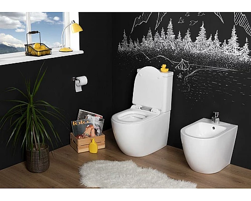 Купить Чаша унитаза-компакта Aquanet Cetus C1 Rimless 00203342 без бачка, с сиденьем Микролифт в магазине сантехники Santeh-Crystal.ru