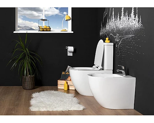 Купить Чаша унитаза-компакта Aquanet Cetus C1 Rimless 00203342 без бачка, с сиденьем Микролифт в магазине сантехники Santeh-Crystal.ru