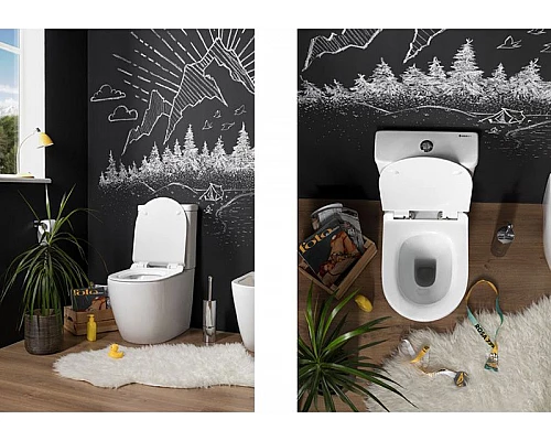 Купить Чаша унитаза-компакта Aquanet Cetus C1 Rimless 00203342 без бачка, с сиденьем Микролифт в магазине сантехники Santeh-Crystal.ru