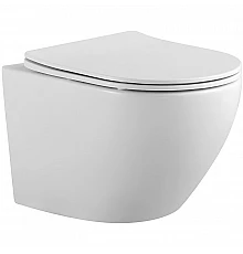 Унитаз Aquatek Европа AQ1901-00 подвесной с сиденьем Микролифт