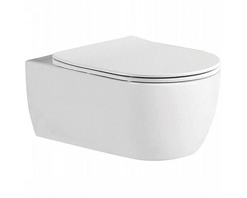 Заказать Унитаз Aquatek Европа AQ1106L-00 подвесной с сиденьем Микролифт в магазине сантехники Santeh-Crystal.ru