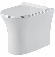 Унитаз BelBagno Ancona BB1224CBR-P приставной без сиденья