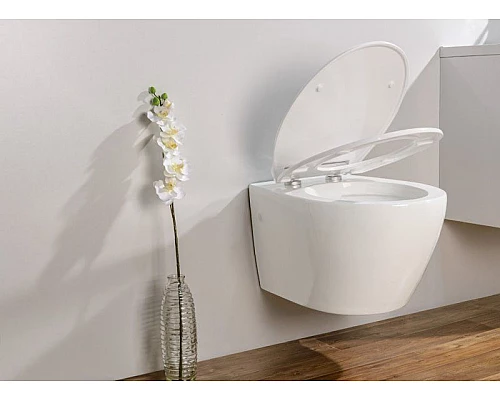 Купить Унитаз BelBagno Prospero BB507B подвесной без сиденья в магазине сантехники Santeh-Crystal.ru