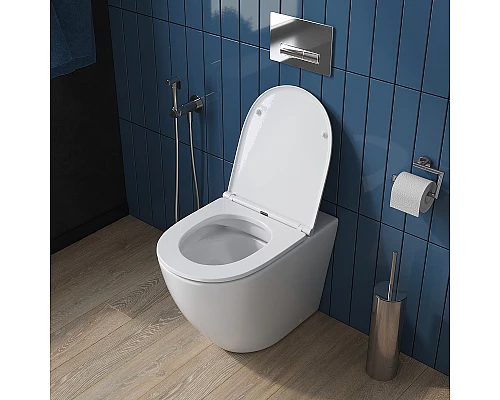 Унитаз BelBagno Sfera-R BB2141CBR/BB870SC приставной с сиденьем Микролифт