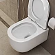 Унитаз BelBagno Soft-Tor BB084CH-TOR подвесной без сиденья