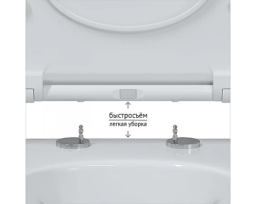 Заказать Унитаз Berges Mascon Rimless 082128 подвесной с сиденьем Микролифт в магазине сантехники Santeh-Crystal.ru