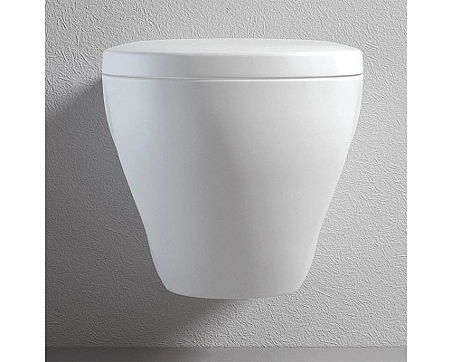 Приобрести Унитаз-биде Bien Dune DNKA052N1VP1W3000 подвесной с сиденьем Микролифт в магазине сантехники Santeh-Crystal.ru