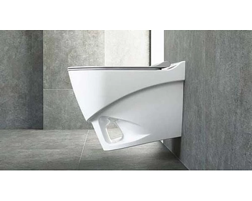 Приобрести Унитаз Bien Organic OGKA052N1VP0W3000 подвесной с сиденьем Микролифт в магазине сантехники Santeh-Crystal.ru