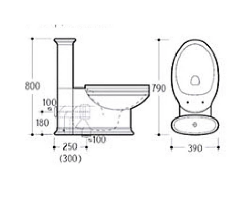 Заказать Унитаз компакт Boheme Puro 959-CR Белый с узором Хром с бачком без сиденья в магазине сантехники Santeh-Crystal.ru