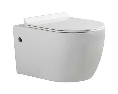 Купить Унитаз Bravat Gina C21172UW-ENG подвесной с сиденьем Микролифт в магазине сантехники Santeh-Crystal.ru