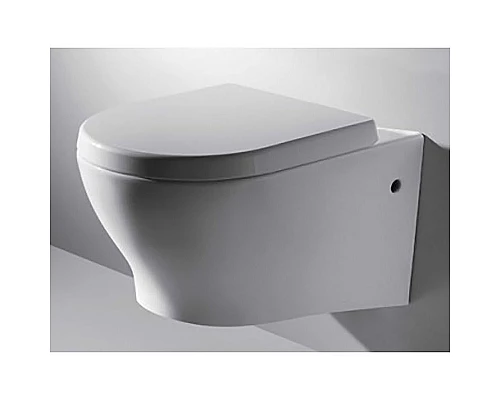 Заказать Унитаз Bravat Rael C01017UW-A-ENG подвесной с сиденьем Микролифт в магазине сантехники Santeh-Crystal.ru