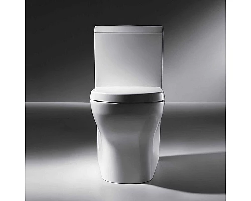 Заказать Унитаз компакт Bravat Rael CX01016UW-PA без бачка, с сиденьем Микролифт в магазине сантехники Santeh-Crystal.ru