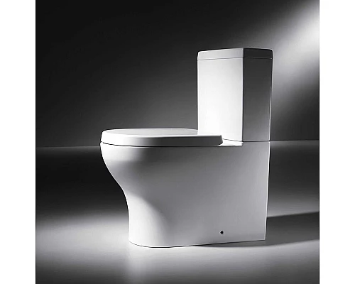 Заказать Унитаз компакт Bravat Rael CX01016UW-PA без бачка, с сиденьем Микролифт в магазине сантехники Santeh-Crystal.ru