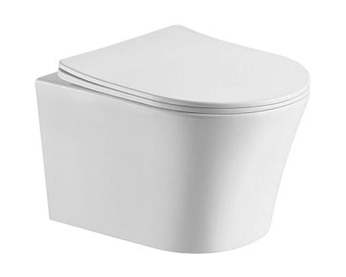 Приобрести Унитаз CeramaLux 2619E подвесной с сиденьем Микролифт в магазине сантехники Santeh-Crystal.ru