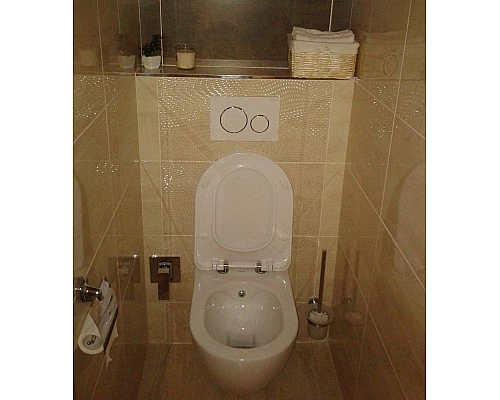 Заказать Унитаз биде Creavit Free FE322-00CB00E-0000 подвесной Белый без сиденья в магазине сантехники Santeh-Crystal.ru