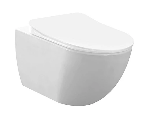 Купить Унитаз биде Creavit Free FE320-00CB00E-0000 подвесной Белый без сиденья в магазине сантехники Santeh-Crystal.ru