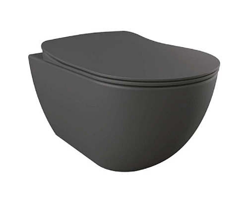 Заказать Унитаз биде Creavit Free FE320-00AM00E-0000 подвесной Антрацит матовый без сиденья в магазине сантехники Santeh-Crystal.ru