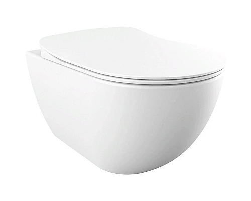 Приобрести Унитаз биде Creavit Free FE322-00MB00E-0000 подвесной Белый матовый без сиденья в магазине сантехники Santeh-Crystal.ru