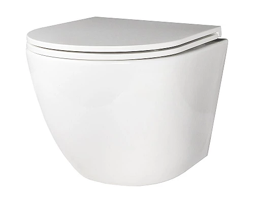 Заказать Унитаз Creto Cer C2 1001-002Cer-C1W подвесной с сиденьем Микролифт в магазине сантехники Santeh-Crystal.ru