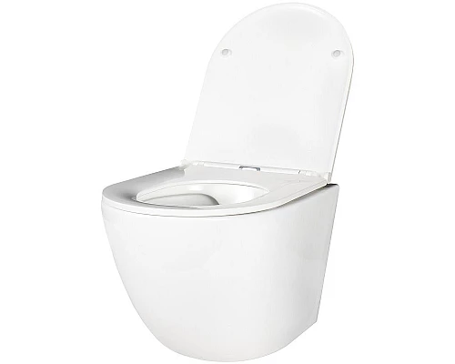 Заказать Унитаз Creto Cer C2 1001-002Cer-C1W подвесной с сиденьем Микролифт в магазине сантехники Santeh-Crystal.ru