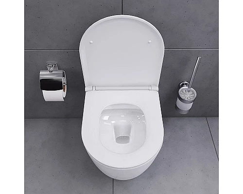 Купить Унитаз Damixa Sirius DX86C1700SC подвесной с сиденьем Микролифт в магазине сантехники Santeh-Crystal.ru