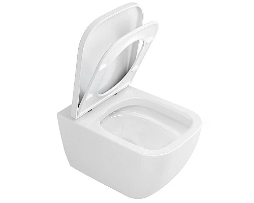 Купить Унитаз Excellent Ness CENL.3509.500.WH подвесной с сиденьем Микролифт в магазине сантехники Santeh-Crystal.ru