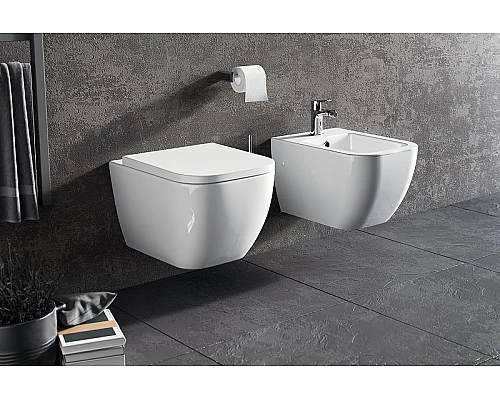 Купить Унитаз Excellent Ness CENL.3509.500.WH подвесной с сиденьем Микролифт в магазине сантехники Santeh-Crystal.ru