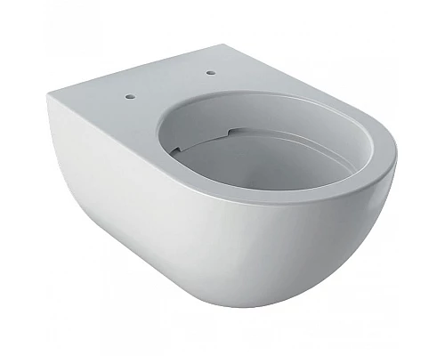 Приобрести Комплект унитаза Geberit Acanto 500.128.21.A с инсталляцией с сиденьем Микролифт и клавишей смыва Хром в магазине сантехники Santeh-Crystal.ru