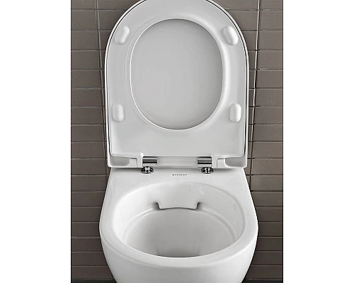 Приобрести Комплект унитаза Geberit Acanto 500.128.21.A с инсталляцией с сиденьем Микролифт и клавишей смыва Хром в магазине сантехники Santeh-Crystal.ru