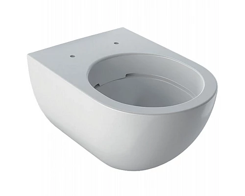 Купить Комплект унитаза с инсталляцией Geberit Acanto 500.301.KJ.A с сиденьем Микролифт и Белой клавишей смыва в магазине сантехники Santeh-Crystal.ru