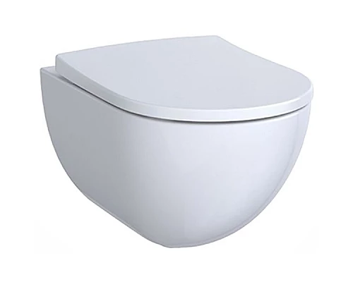 Заказать Унитаз Geberit (Keramag) Acanto 500.600.01.2 подвесной без сиденья в магазине сантехники Santeh-Crystal.ru