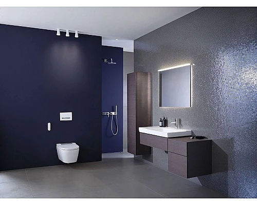 Заказать Унитаз биде Geberit AquaClean Sela 146.224.21.1 Белый с сиденьем Микролифт в магазине сантехники Santeh-Crystal.ru