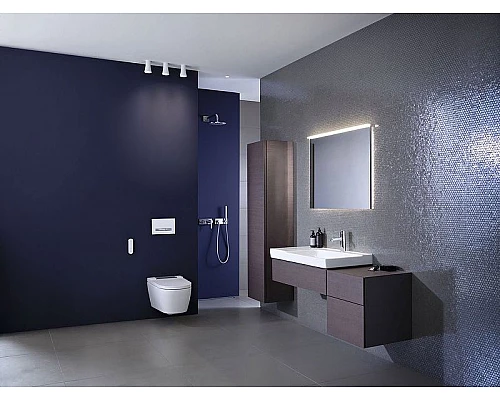 Заказать Унитаз биде Geberit AquaClean Sela 146.224.21.1 Белый с сиденьем Микролифт в магазине сантехники Santeh-Crystal.ru