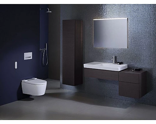 Заказать Унитаз биде Geberit AquaClean Sela 146.224.21.1 Белый с сиденьем Микролифт в магазине сантехники Santeh-Crystal.ru