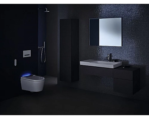 Заказать Унитаз биде Geberit AquaClean Sela 146.224.21.1 Белый с сиденьем Микролифт в магазине сантехники Santeh-Crystal.ru