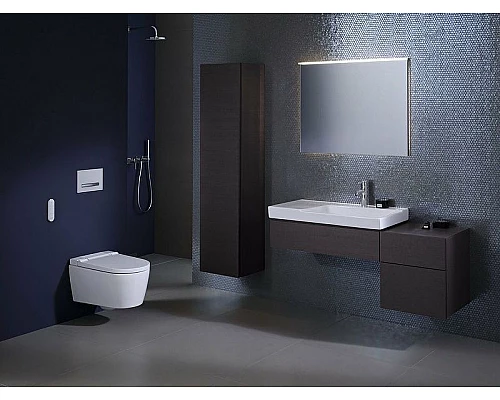 Заказать Унитаз-биде Geberit AquaClean Sela 146.224.11.1 подвесной с сиденьем Микролифт в магазине сантехники Santeh-Crystal.ru