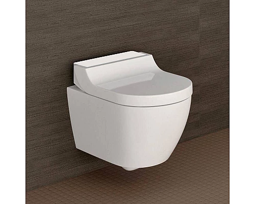 Заказать Унитаз биде Geberit AquaClean Tuma Classic 146.094.11.1 Белый в магазине сантехники Santeh-Crystal.ru