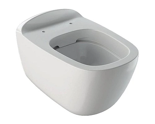 Приобрести Унитаз Geberit Citterio 500.510.01.1 подвесной без сиденья Белый в магазине сантехники Santeh-Crystal.ru