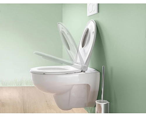 Купить Комплект унитаза Geberit Renova 500.124.TC.R с инсталляцией Duofix с сиденьем Микролифт и клавишей смыва Хром глянцевый в магазине сантехники Santeh-Crystal.ru