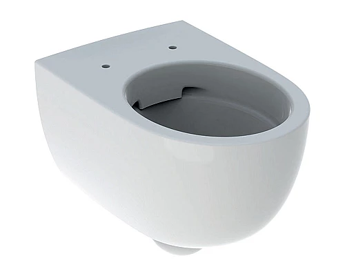 Купить Унитаз Geberit Renova Comfort 500.694.01.1 без сиденья в магазине сантехники Santeh-Crystal.ru