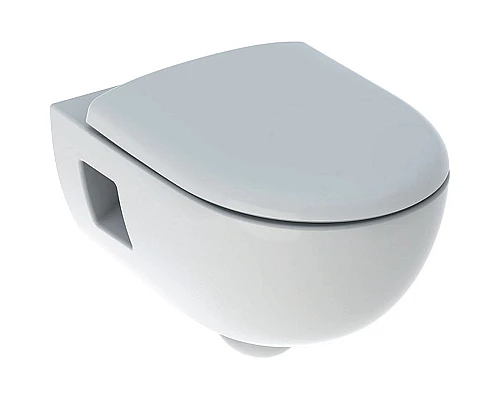 Заказать Унитаз Geberit Renova T54 Rimfree 500.800.00.1 с сиденьем Микролифт в магазине сантехники Santeh-Crystal.ru