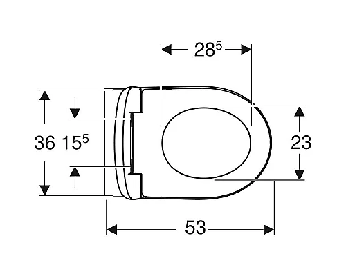 Заказать Унитаз Geberit Renova T54 Rimfree 500.800.00.1 с сиденьем Микролифт в магазине сантехники Santeh-Crystal.ru