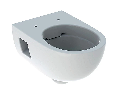 Заказать Унитаз Geberit Renova 203070000 подвесной без сиденья в магазине сантехники Santeh-Crystal.ru