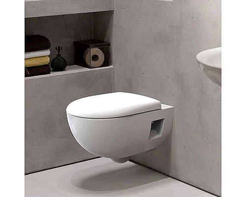 Заказать Унитаз Geberit Renova 203070000 подвесной без сиденья в магазине сантехники Santeh-Crystal.ru