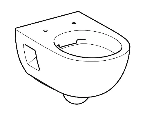 Заказать Унитаз Geberit Renova 203070000 подвесной без сиденья в магазине сантехники Santeh-Crystal.ru