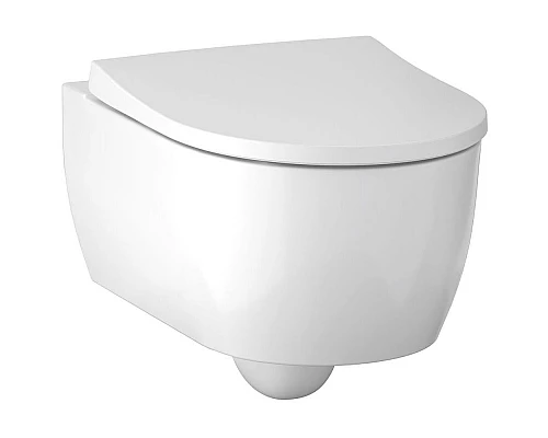 Заказать Комплект унитаза с инсталляцией Geberit iCon T54 Rimfree 500.300.01.I с сиденьем Микролифт и Белой клавишей смыва в магазине сантехники Santeh-Crystal.ru