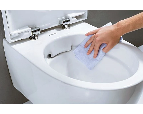 Заказать Комплект унитаза с инсталляцией Geberit iCon T54 Rimfree 500.300.01.I с сиденьем Микролифт и Белой клавишей смыва в магазине сантехники Santeh-Crystal.ru