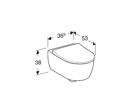 Заказать Комплект унитаза с инсталляцией Geberit iCon T54 Rimfree 500.300.01.I с сиденьем Микролифт и Белой клавишей смыва в магазине сантехники Santeh-Crystal.ru