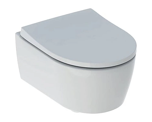 Купить Комплект унитаза с инсталляцией Geberit iCon Rimfree 500.060.TC.I с сиденьем Микролифт и Белой матовой клавишей смыва в магазине сантехники Santeh-Crystal.ru